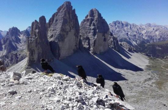 tre-cime