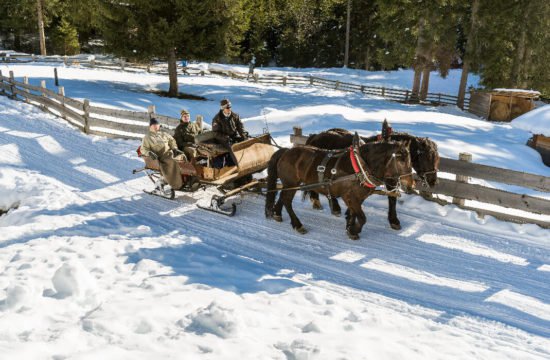 cavallo-valle-di-casies