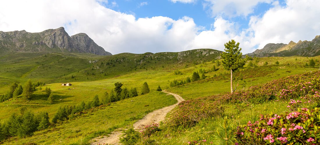 Hiking & biking vacation in Val Casies